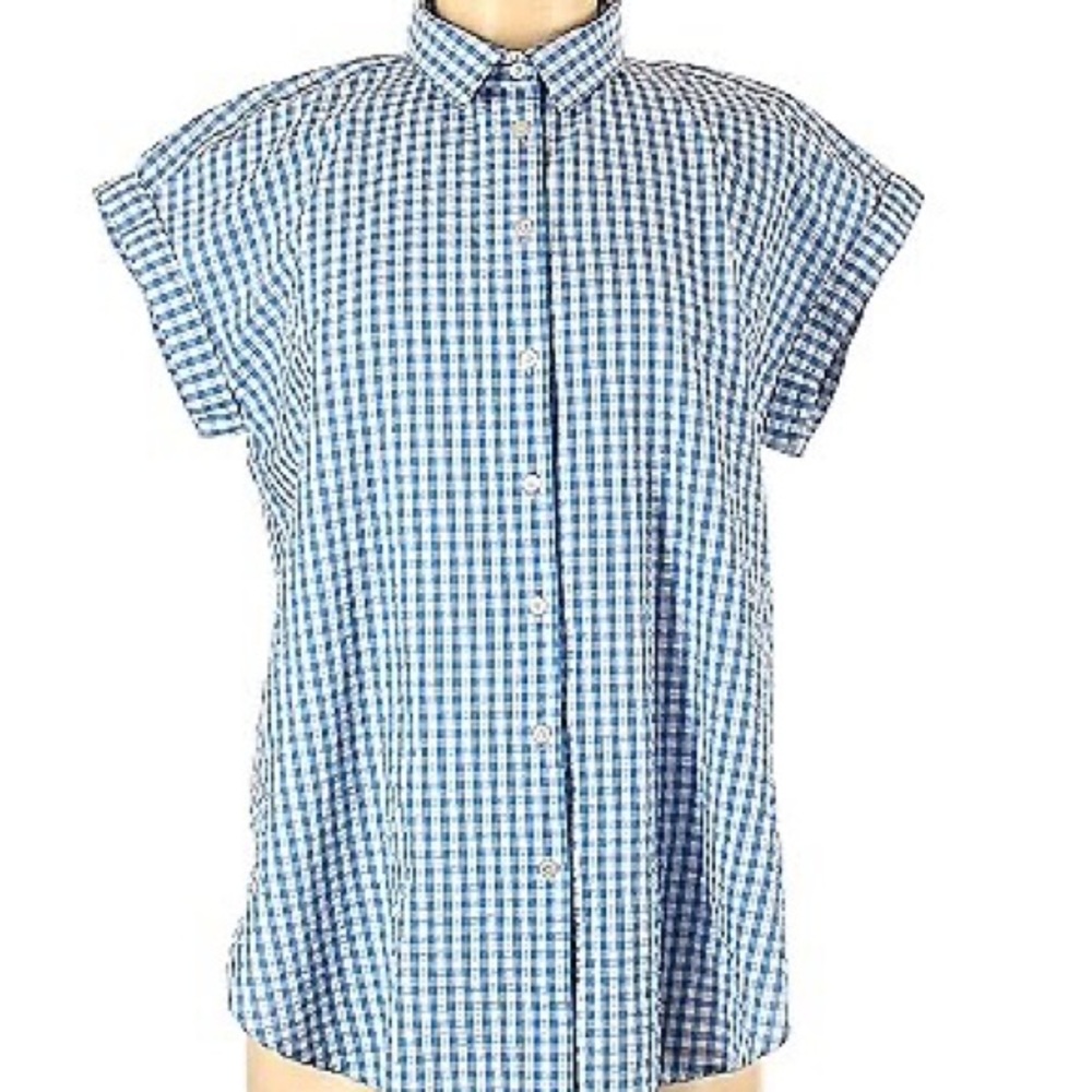 Anne Taylor LOFT Outlet Blue Checkered Gingham Top Size XL